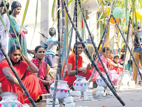 Womentake part in pongal preparation as part ofMakara Sankranti at Anjanappa Garden on Friday. DH photo