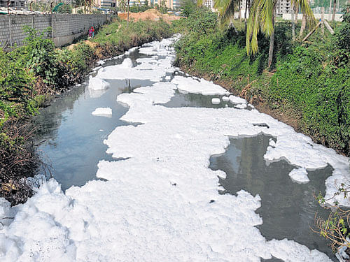 Bellandur lake, which has dirty  foam flowing through it, is one of the most polluted lakes in the City. DH&#8200;FILE&#8200;PHOTO