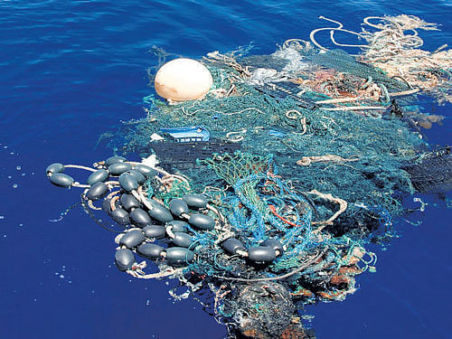 Citing studies, the WEF report said plastic packaging represents the major share of the leakage and the best available research estimates that there are over 150 million tonnes of plastics in the ocean today. File Photo.
