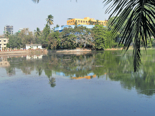 The lake in the Bhavan's Nature and Conservation Centre in Mumbai.