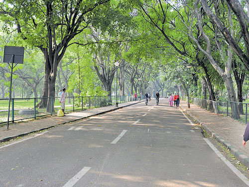 Members of the Cubbon Park Walkers' Association (CPWA)&#8200;claim that there are virtually no guards in the park and such has been the case in the last one-and-half months. DH file photo