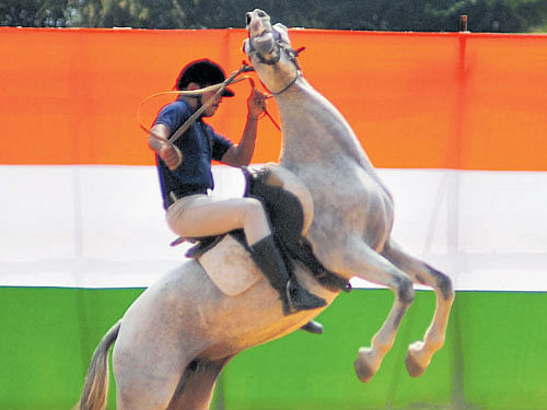 Badri, a horse belonging to Mounted Police, went berserk during Republic Day celebrations at Torchlight Parade Grounds, Bannimantap in Mysuru, on Tuesday. DH photo