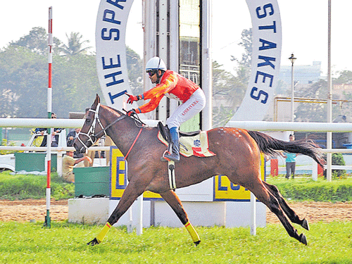 fast-paced Jockey A Imran K powers Nesto to a fine victory in the Sprinters Trial Stakes at the Bangalore Turf Club on&#8200;Friday. DH photo