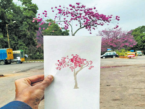 intricate (Above) Adithyaa's illustration of a tree in Lalbagh. (Below) His other works.