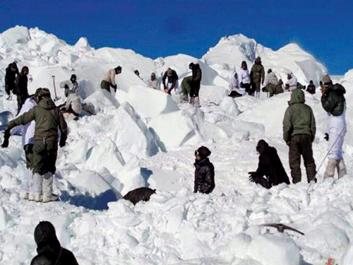 Specialised rescue teams carrying out the operations to search for the bodies of the soldiers hit by an avalanche, in Siachen on Tuesday. PTI Photo.