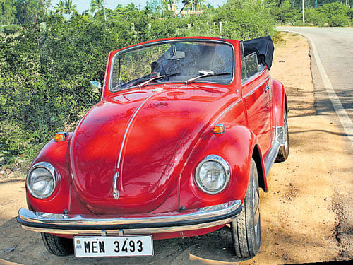 The 1971  Volkswagen Convertible