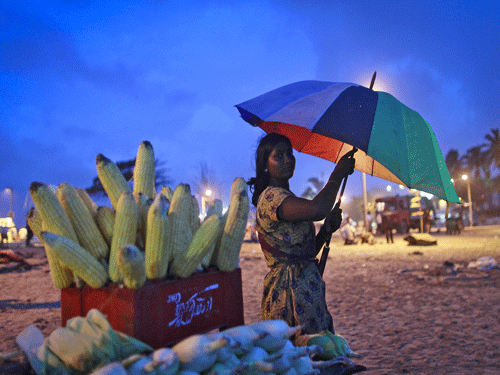 A woman selling grilled corn takes shelter under an umbrella as it rains on a beach in Mumbai in this July 11, 2012 file photo. As India prepares to import corn for the first time in 16 years, at least one stipulation in its international tender has become much tougher to meet - that shipments of the crop are completely free of genetically modified organisms (GMOs). Reuters Photo.