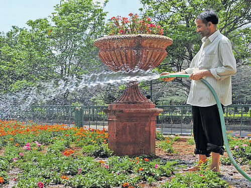 A senior BWSSB official said none of the BBMP parks is utilising treated water and depends on borewells. dh file photo