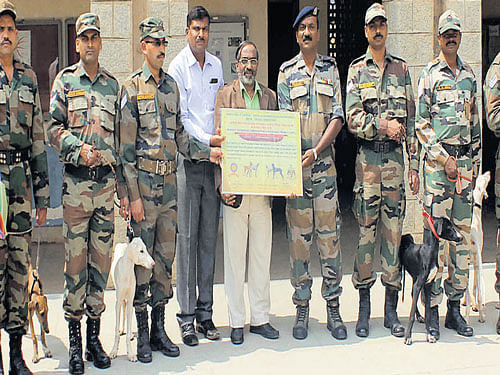 Six Mudhol hounds were handed over to the Army authorities in Bengaluru. DH photo
