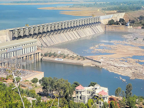 The dipping water level in the Almatti dam in Bagalkot district. DH photo