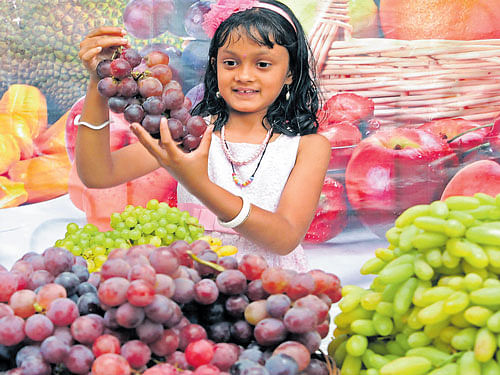 Agirl poses with grapes on display at the Grape and Watermelon Mela at Lalbagh onWednesday. DH PHOTOS