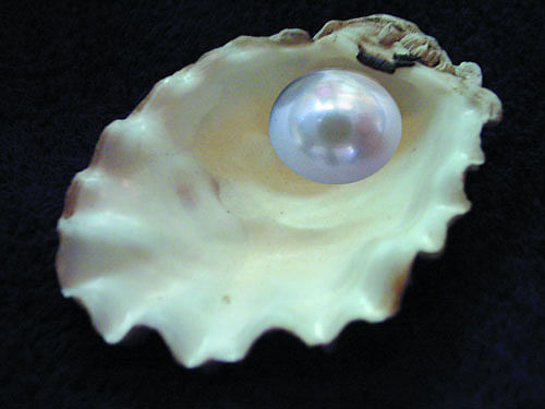 In a bizarre incident, a woman in the US found a very rare pearl worth USD 600 in her seafood dish while dining at an Italian restaurant. DH photo for representation only