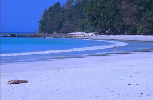 Radhanagar beach on the Havelock Island in the Andaman. Photo courtesy: twitter