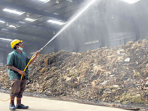 A file picture of a worker spraying chemicals over a garbage heap at the Kannahalli waste processing plant. DH PHOTO