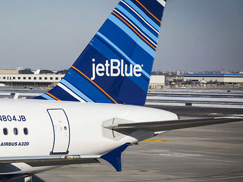 The pair had flown from Boston to Los Angeles in the US without incident but were singled out after the JetBlue passenger plane landed, witnesses said. Reuters file photo for representation