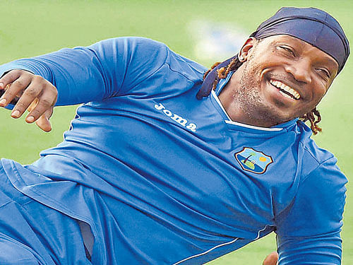 Count on me: West Indies will bank on Chris Gayle's heroics at the top of the order at this World T20. PTI