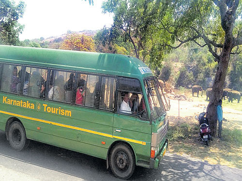 The Bannerghatta Biological Park registered 2,849 visitors and raked in Rs 5.6 lakh from sale of tickets on Saturday. DH&#8200;photo