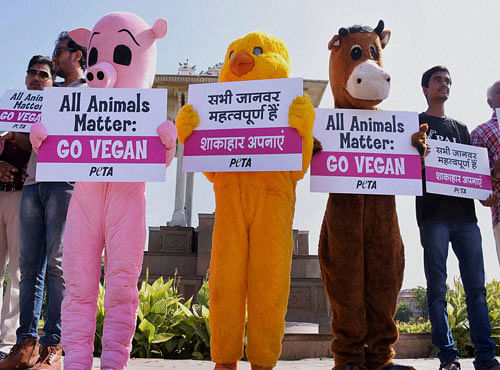 The amendments follow repeated appeals by People for the Ethical Treatment of Animals (PETA) India and Union minister Maneka Gandhi, a well-known animal rights activist. PTI photo for representation.