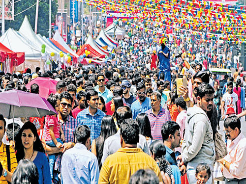 A scene at the  'Open Street' event  in Bengaluru recently. The government has proposed to extend the popular event to places like Mysuru, Hubballi, Belagavi and Hampi. dh file photo