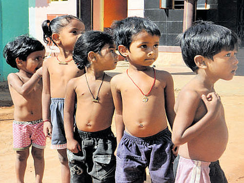 The government has proposed to provide two grams of spirulina every day for 180 days to 25,000 malnourished children in the State. DH file photo