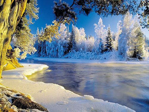 Picture perfect A lake in Dalarna in winter