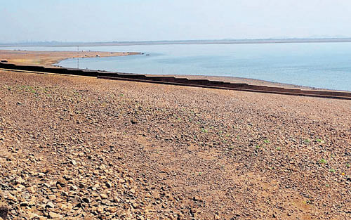 Rock bottom: The low water level in the Tungabhadra dam has set the alarm bells ringing as further depletion could lead to a severe drinking water crisis. dh photo