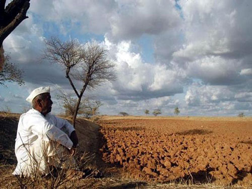 Last year, around 1,400 farmers committed suicide in the region due to causes ranging from crop failure from lack of water to inability to meet loan payments. PTI file photo