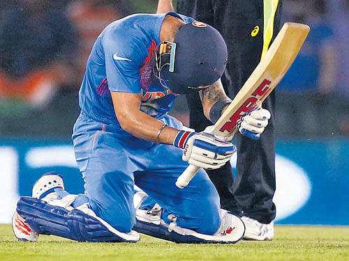 soaking it in: Virat Kohli enjoys the moment after taking India to the World T20 semifinals with a superb unbeaten 82 in Mohali on Sunday. reuters