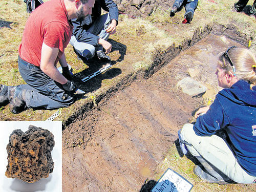 unearthing history: A handout photo of Douglas Bolender, left, and Sarah Parcak looking for evidence of a Viking presence in Point Rosie, Newfoundland, Canada. (inset) The lump, scientists say, is bog iron ore and one of the samples being tested from the possible Viking site. nyt