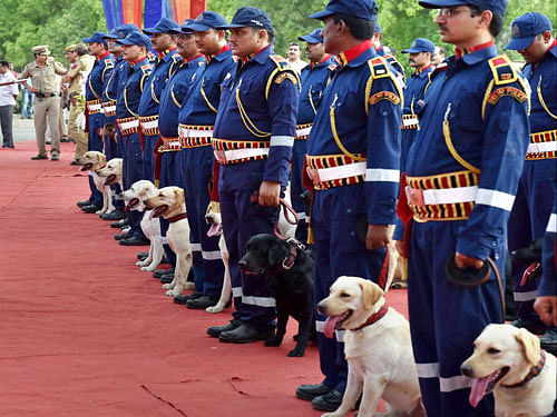 A new batch of 30 trained labrador dogs during an induction ceremony to Delhi Police at Rajpath in New Delhi on Monday. PTI Photo
