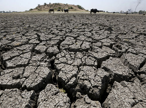 PM orders review of drought
