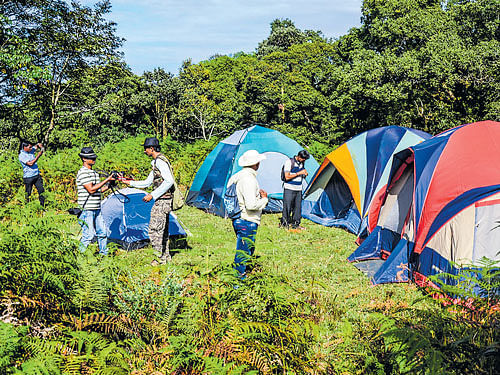 Tents set up in the Kudremukh region ofWestern Ghats. PHOTOS BY AUTHOR