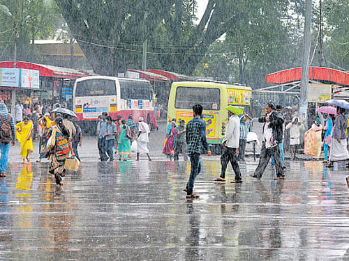 After two consecutive drought years, the Indian Meteorological Department (IMD) on Tuesday predicted above-normal south-west monsoon for 2016. File photo