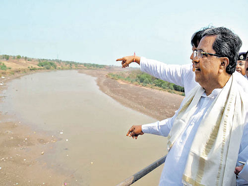 Chief Minister Siddaramaiah inspects a drying Bheema river near Jewargi in Kalaburagi district on Saturday. Withered  pomegranate trees at a grove in Indi taluk in Vijayapura. DH photo
