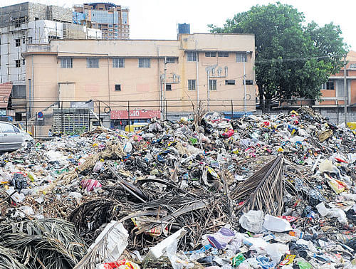 A vacant plot belonging to the BBMP on Wheeler Road has  become a mini landfill site, swarmed with mosquitoes and flies. dh photo