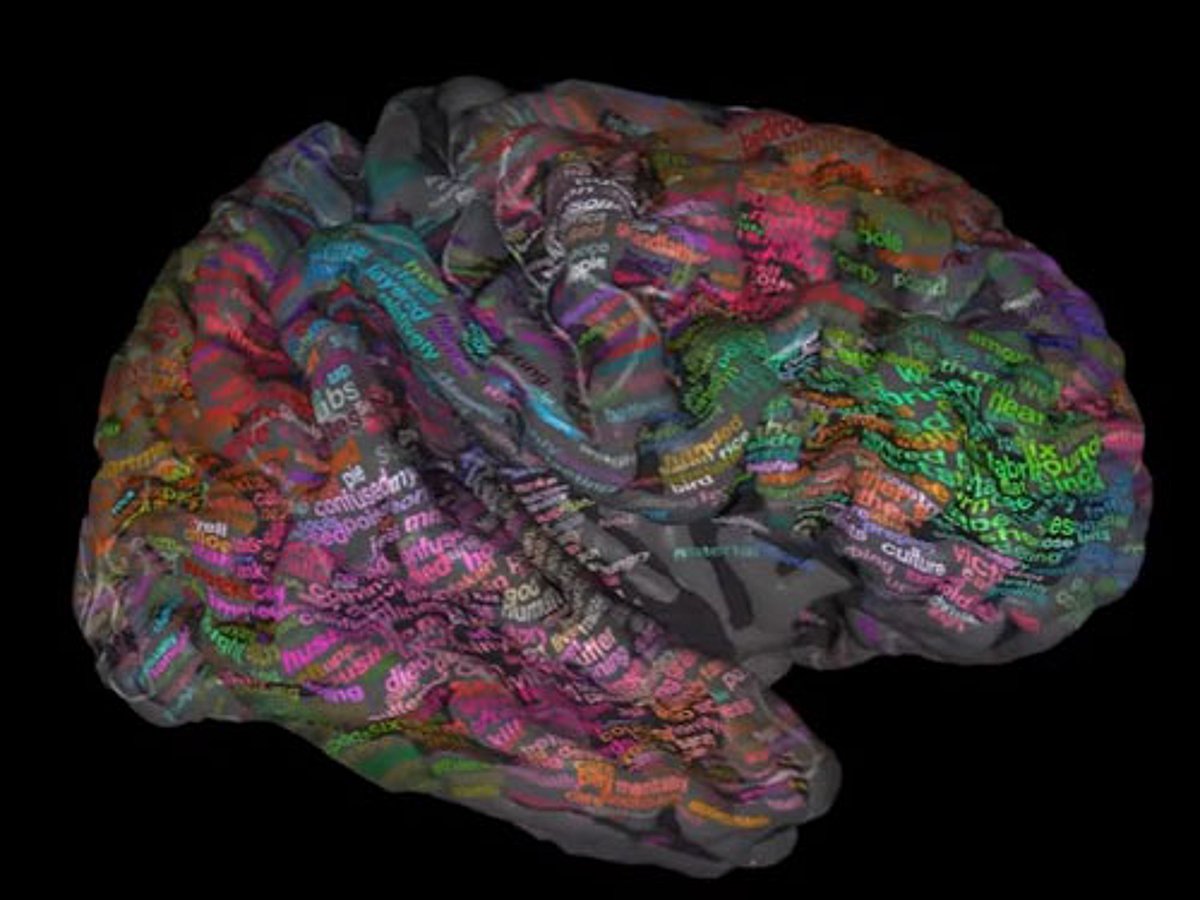 3D 'brain dictionary' to help decode our thoughts