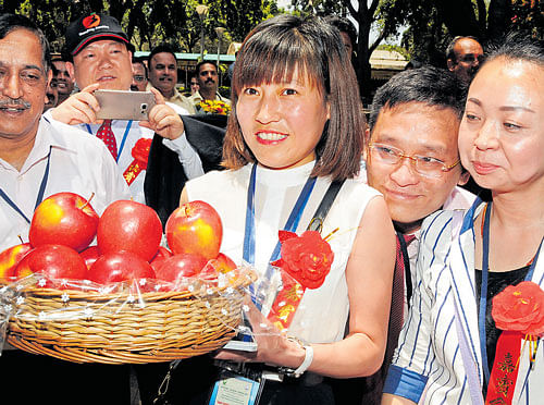 Chinese delegates with a basketful of apples at the exhibition-cum-sale of the delicious fruit, which kicked off at Lalbagh in Bengaluru on Thursday. DH Photo