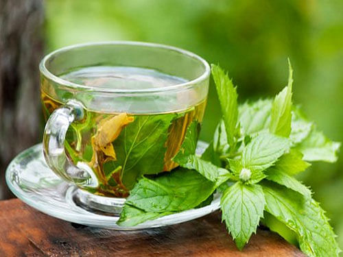 Analysis of the results showed that peppermint tea significantly improved long term memory, working memory and alertness compared to both chamomile and hot water. Photo courtesy: Twitter