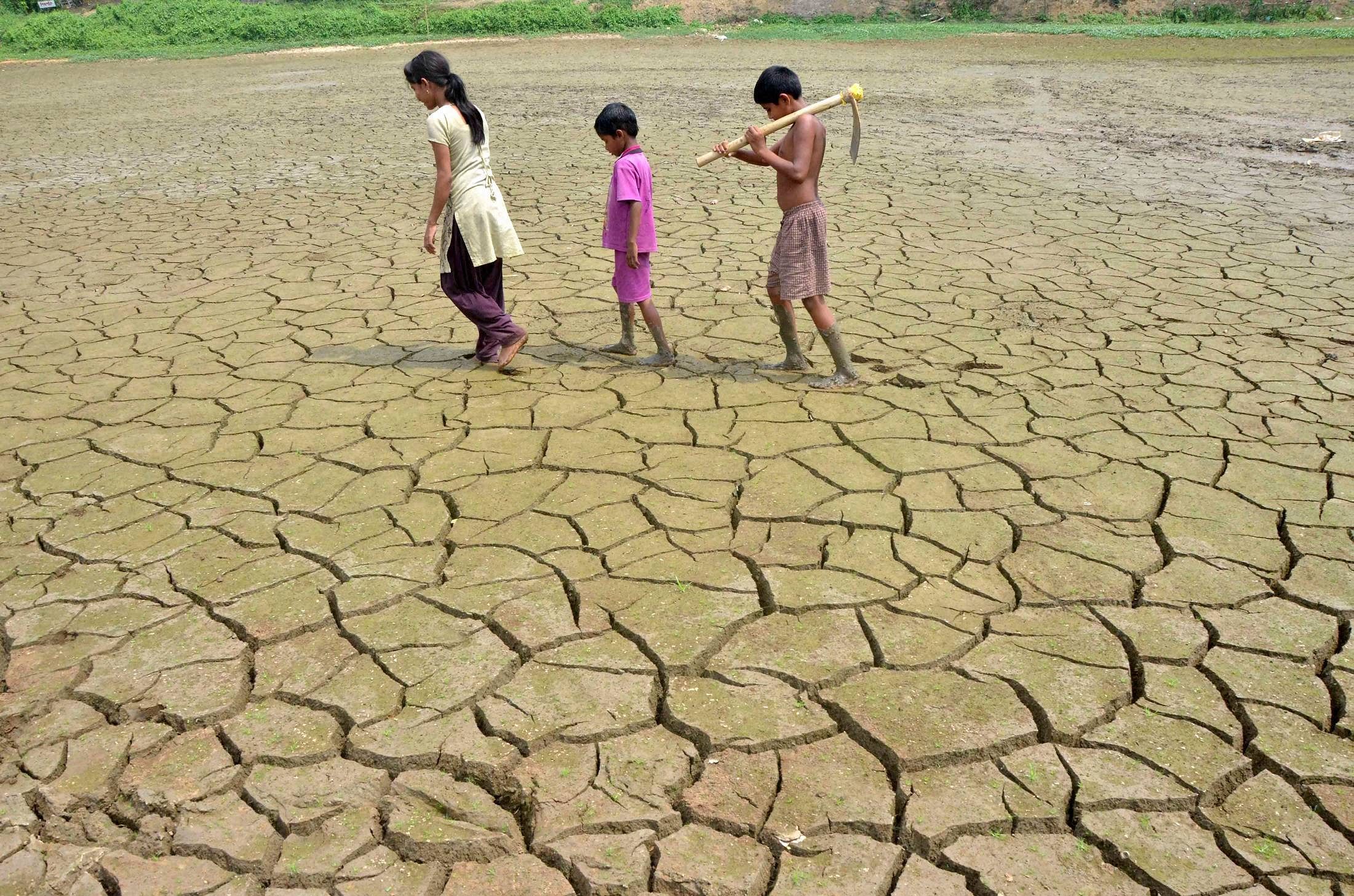 In India, about 330 million people are at risk from water shortages and crop damage, the government said recently, and blazing temperatures have been blamed for scores of heat-stroke deaths and dead livestock. PTI File Photo.