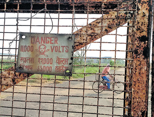 The abandoned Tata Motors factory at Singur, which has now become a grazing ground for cattle. Dh photo