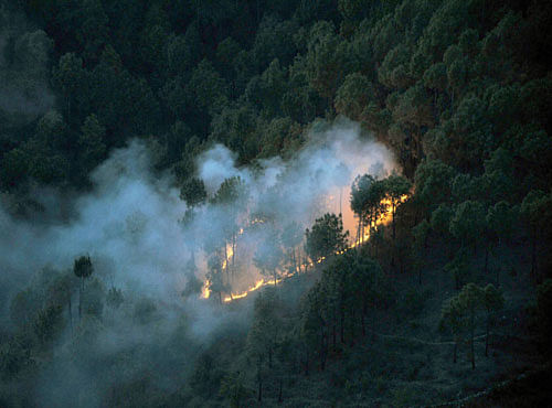 A wild fire broke out in forest at Totu in Shimla on Monday night. PTI Photo