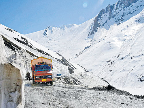 Back to business: Trucks pass through the snow-bound Zojila Pass on Saturday. PTI