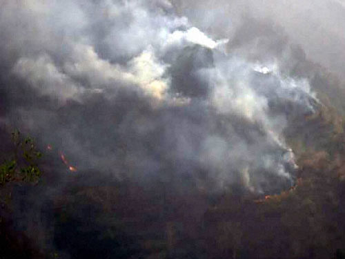 The number of active fires dropped sharply to 40 in the hill state and the Centre claimed the situation was 'under control'. Three persons were arrested from Pithoragarh and Nainital for burning dry leaves of Cheed and stoking the fires. PTI photo