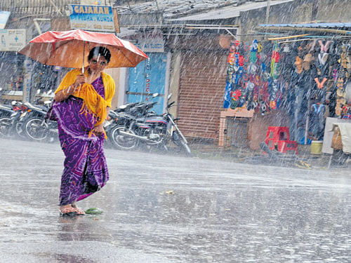 Apart from being a welcome respite from the scorching heat, the rains kindled hopes that the south-west monsoon may not miss its date with Karnataka in June first week. DH file photo