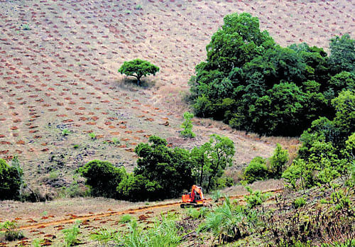 Pits are being dug using earthmovers at Sampigekatte near Mahal village in the Mutthodi range forest of Chikkamagaluru. DH photo