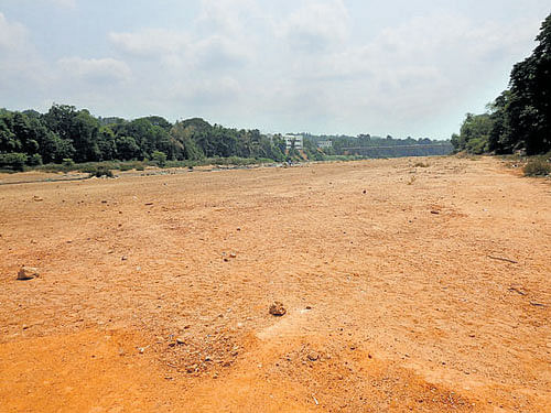 The lifeline of Dakshina Kannada has gone dry near Uppinangady. DH photo