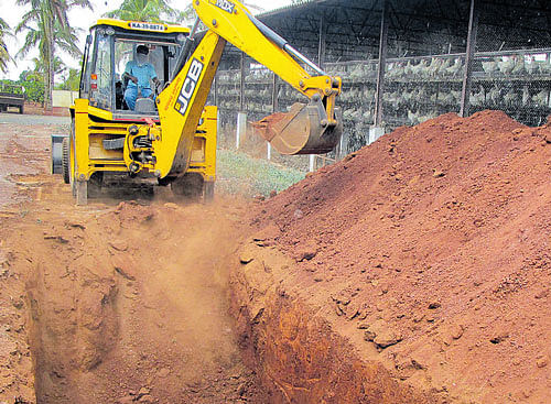 A pit being dug to dump the culled chicken in Humnabad, Bidar district on Monday. DH PHOTO