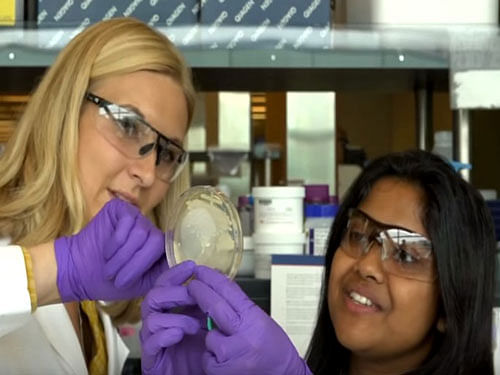 Aindrila Mukhopadhyay (R) from the US Department of Energy's Lawrence Berkeley National Laboratory. Screen grab.