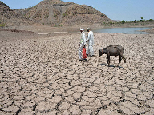 According to officials, a drought-like situation is prevailing across the four districts of Purulia, Bankura, West Midnapore and Burdwan, where some 20 to 28 lakh people are facing severe shortage of water. PTI file photo