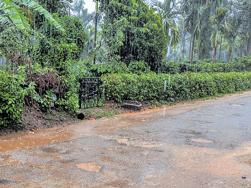 Heavy rainfall lashed Kalasa town in Chikkamagaluru district on Friday afternoon. DH Photo